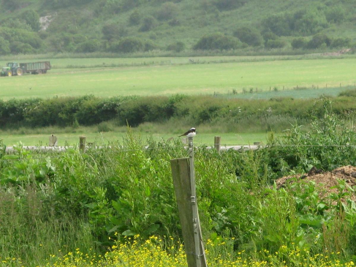 Tollgate